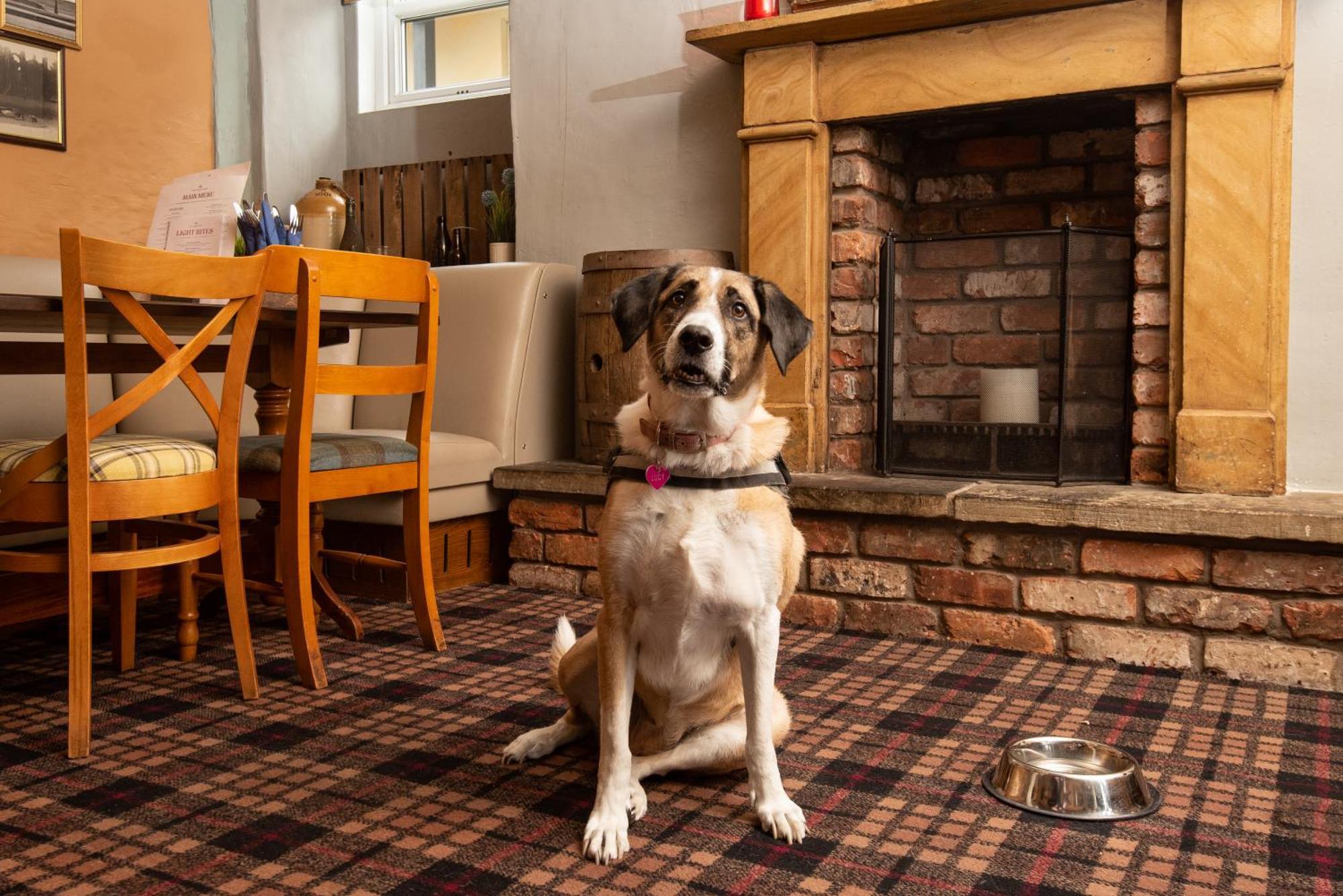 The Lindisfarne Inn - The Inn Collection Group Beal Экстерьер фото
